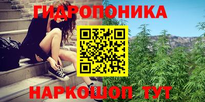 скорость Ачхой-Мартан