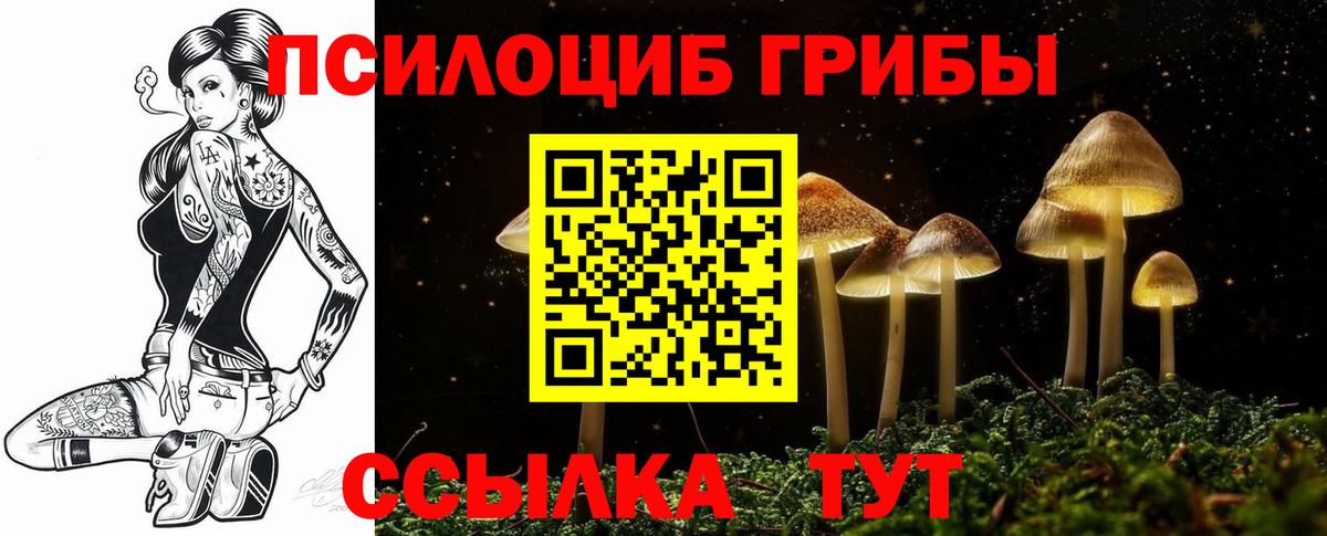 Волгодонск  Псилоцибиновые грибы ЛСД  закладка  Вход с VPN  Псилоцибиновые грибы прущие грибы 